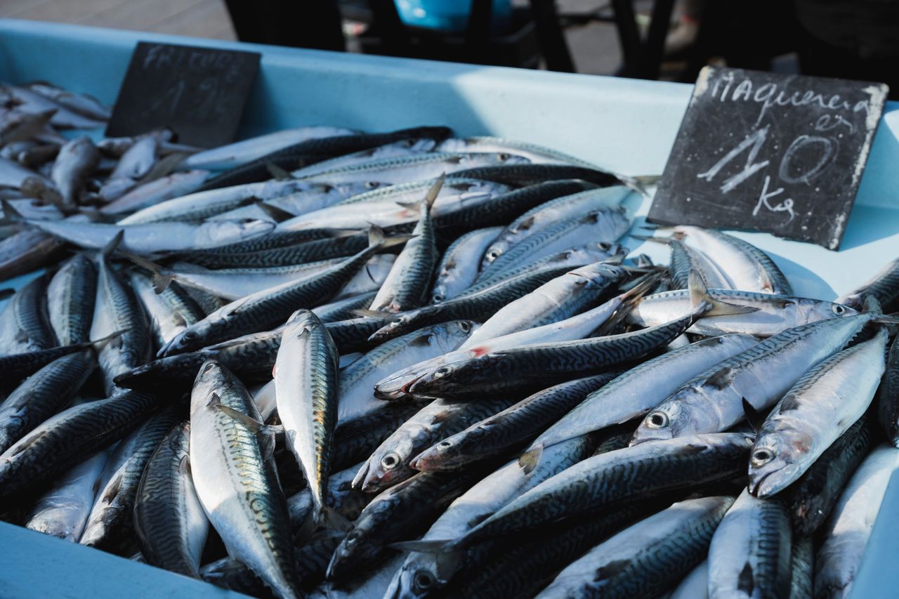 Crafting Captivating Headlines: Your awesome post title goes here A variety of fresh mackerel on display at an open-air market. Perfect for culinary and fish cuisine themes.