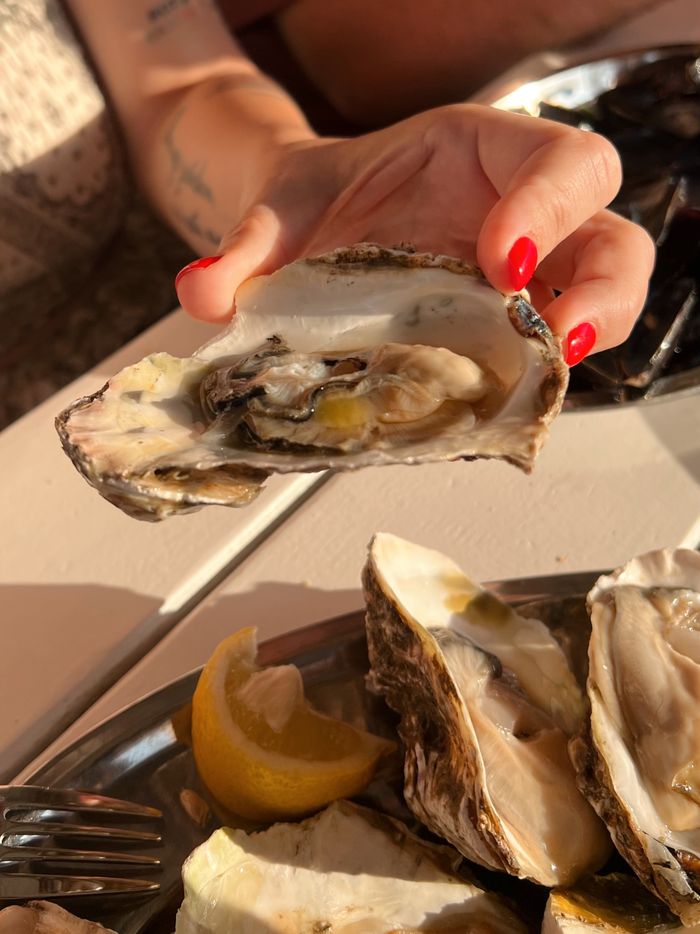Close-up of fresh oysters being held, served with lemon wedges. Perfect for seafood lovers.