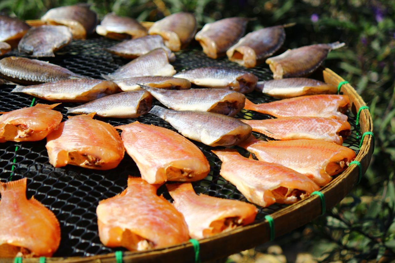 Mastering the First Impression: Your intriguing post title goes here Bright outdoor image of fish fillets drying on a bamboo tray, capturing a traditional preparation method.